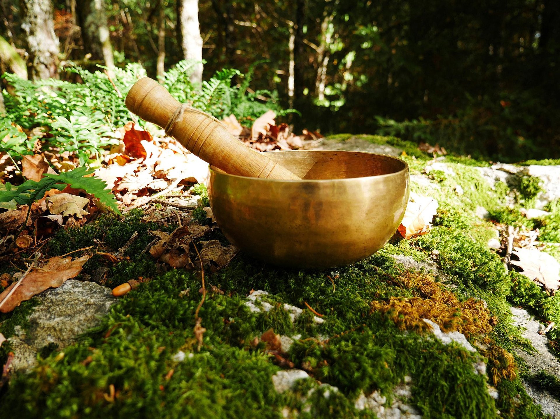 Gallery image 12978