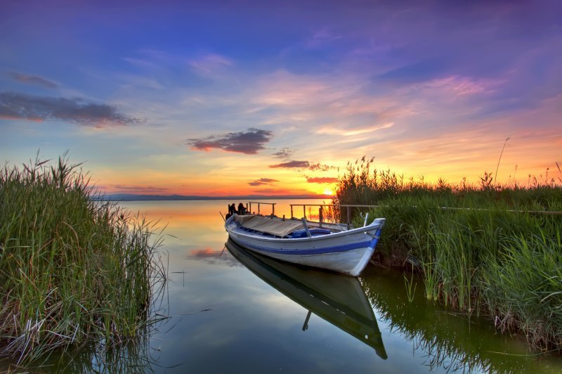 Gallery image 14478