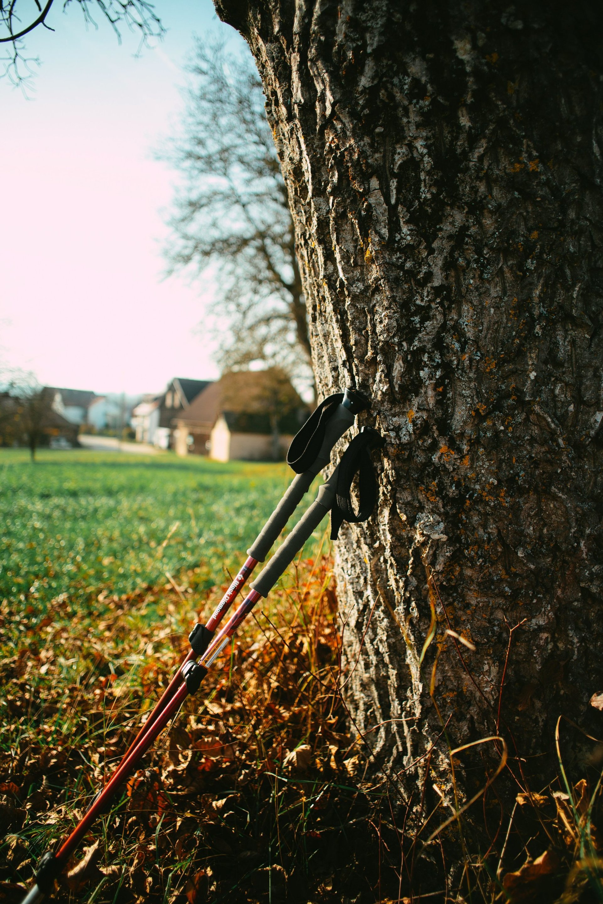 Venue image 16948